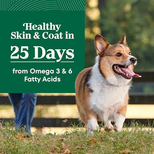 Nutro Natural Choice Small Breed Dry Dog Food, Adult Dog Food Dry Chicken and Brown Rice, 5 lbs.