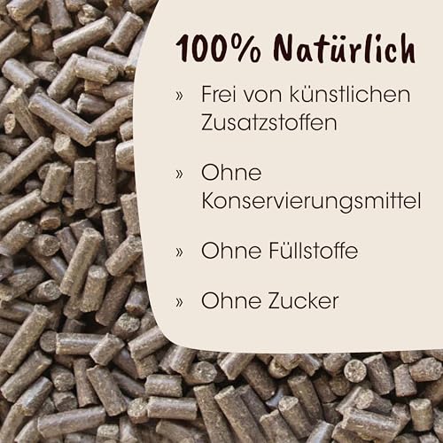 cdVet Fit-Crock Hundefutter trocken Puppy Lamm 10 kg, getreidefrei