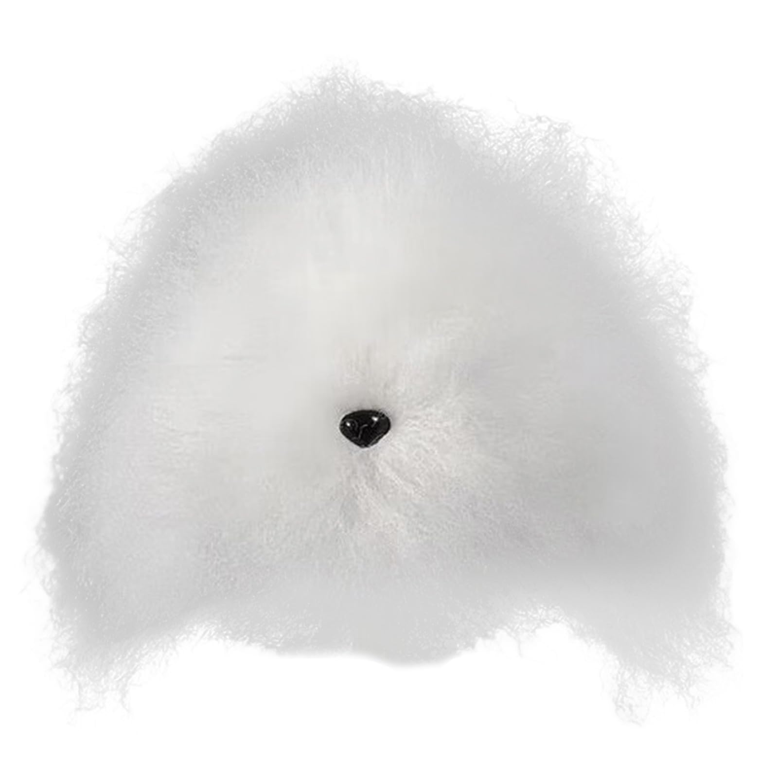Vynetra Synthetic Pet Grooming Training Hairpiece Untrimmed Hair for Styling Practice Dog Head Mannequin Model Realistic Design Pet Grooming Practice Head Mannequin Model