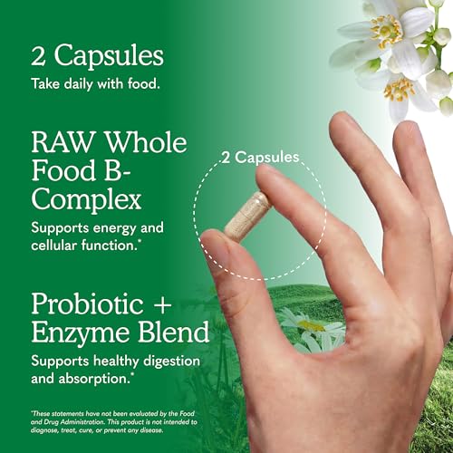 Image of Garden of Life Vitamin B Complex, 120 Vegan Capsules, High Potency Vitamins for Energy & Metabolism with B6, Folate & B12 as Methylcobalamin plus Probiotics