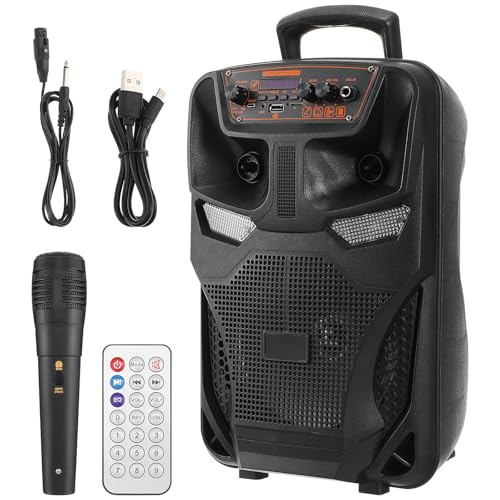 Enceinte sans fil de plein air pour danse et loisirs Housoutil