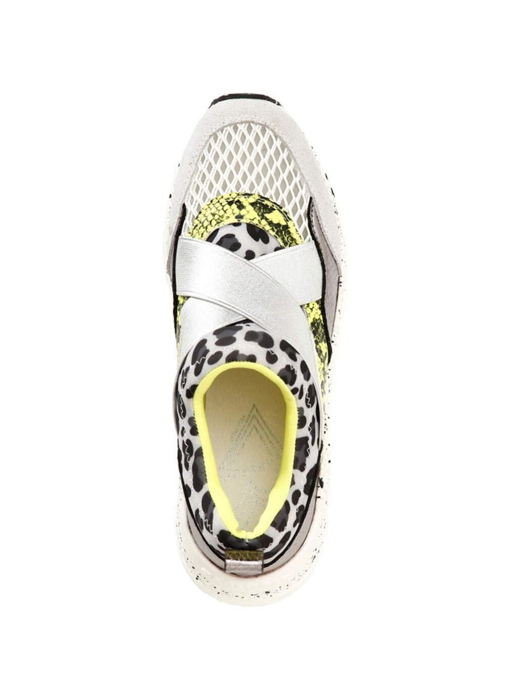 Cafe Noir Multi-Animalier