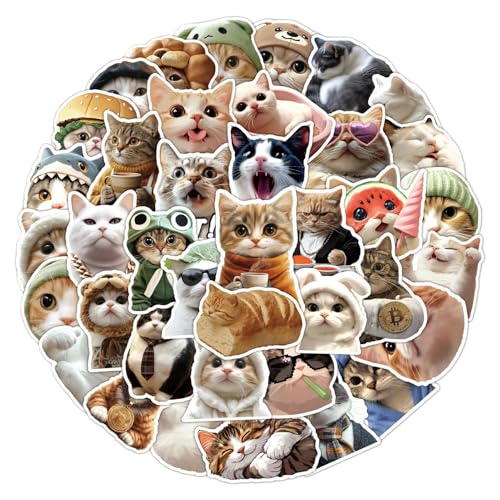Comida Humeda para Gatos Kitten Marca Genérico