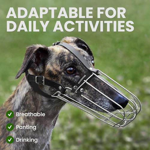 BRONZEDOG Drahtkorb Hund Maulkorb Metall Hund Maulkorb Leder verstellbar (Size 8: Greyhound & Collie)