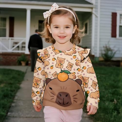 AFPANQZ Casual Ruffle Sweatshirt Crewneck Long Sleeve Tops Pullover Toddler Baby Girl Kids Child Fall Clothes3