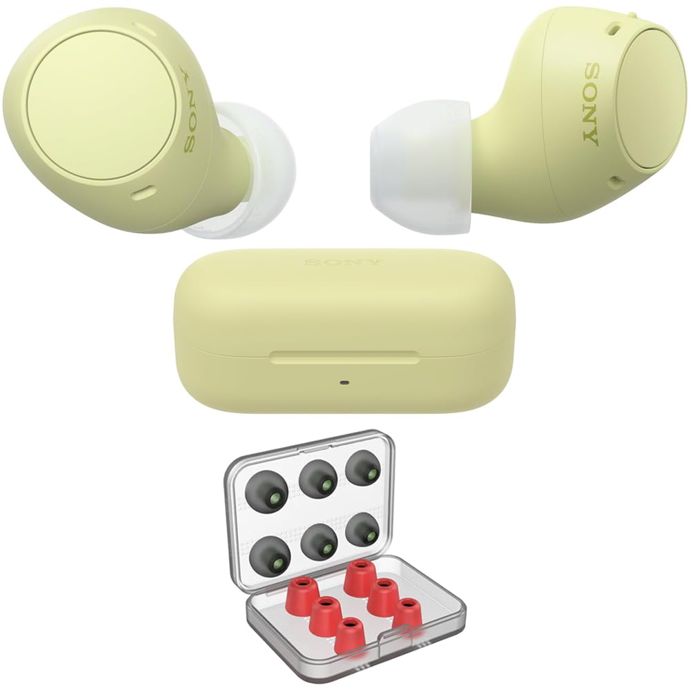 Amazon.com: Sony WF-C510 Truly Wireless Earbuds with 22-Hour