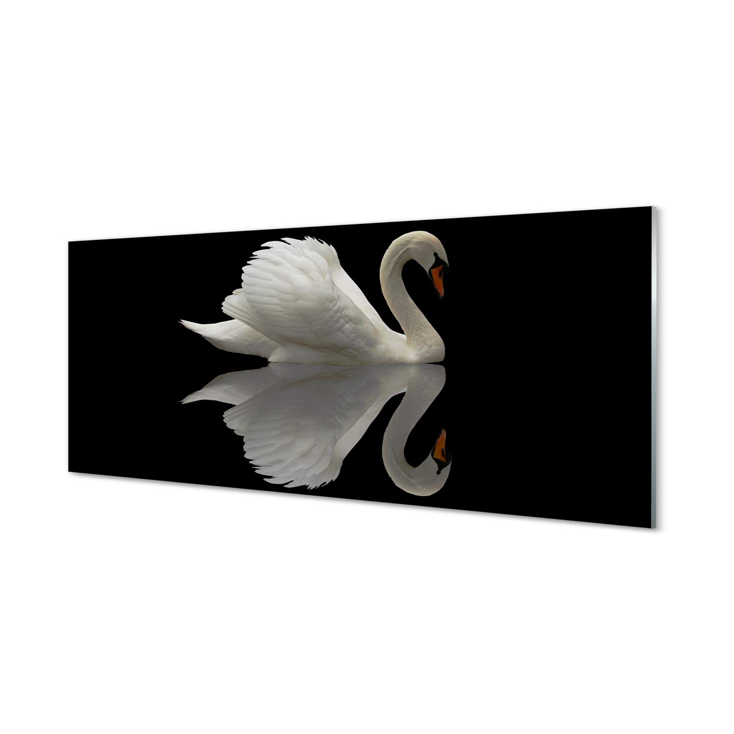 Impression sur verre art mur 125x50cm decoration murale cuisine cygne et oiseau