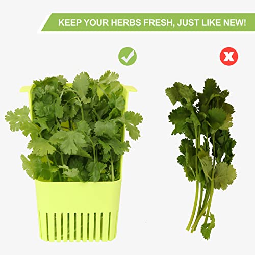 Image of LUVCOSY Fresh Herb Keeper for Refrigerator, Clear BPA-Free Herb Saver, Storage Container for Cilantro, Parsley, Thyme, Mint & Asparagus, Preserver Keeps Fresh Herbs for 3 Times Longer, Green & Orange