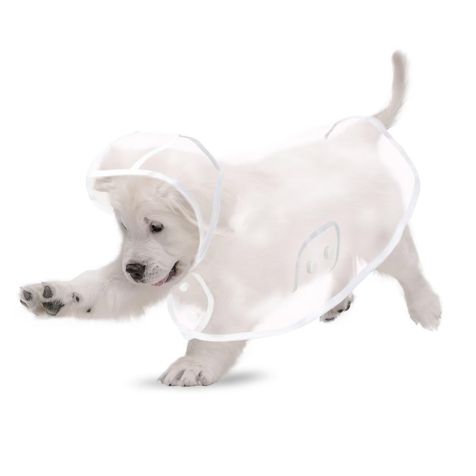 Puppy Raincoat for Small Dogs Transparency Pet Raincoat Waterproof Cloak Pet Hooded Raincoat Jacket,Size X-Small