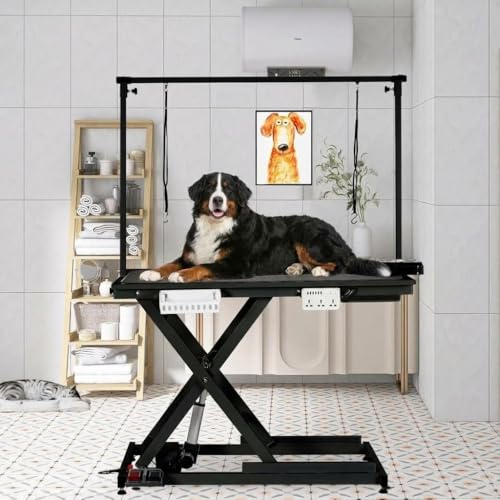 ExploreHorizon 50' Heavy Duty Dog Grooming Table with Aluminium Overhead Arm,Electric Hydraulic Grooming Table with 6 USB Ports for Large Dogs 300 LBS Foot Control