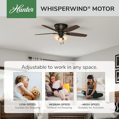 Image of Hunter Builder, Indoor, Ceiling Fan, with LED Lights, 52 inch, New Bronze