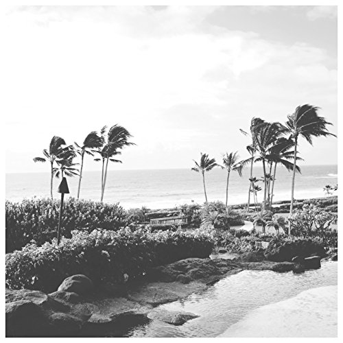 Landon Austin & Chasing Taylor