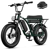 PHILIAM Dual Battery 3000W Cargo Ebike
