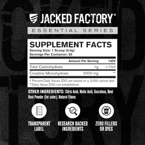 Image of Jacked Factory Creatine Monohydrate Powder 425g - 5g Daily Creatine Supplement for Men and Women, Vegan-Friendly, Third-Party Tested - 85 Servings, Cherry Limeade