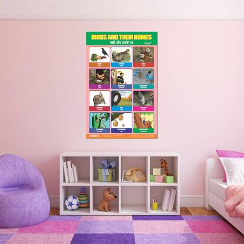 Image of ESCAPER Birds & Their Homes Educational Charts for Kids Learning, (11.5 x 17.5 inches), 300 GSM Paper Laminated, Self Adhesive Back Kids Study Material, Learning Chart, Educational Posters