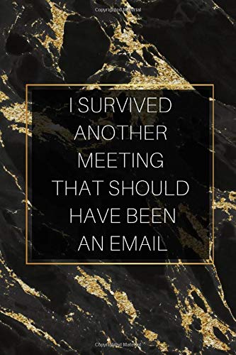 Another Meeting That Should Have Been An Email: Office Gift for Coworkers, Boss, Business Gifts, Party Gag Gifts, Sarcastic Office Desk Notes, Lined Blank Funny Notebook