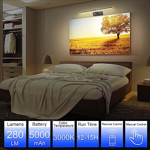Image of Picture Light,Battery Art Lights for Wall,Wireless Remote Painting Light with Timer and Dimmable,13 inchMetal Display Lighting for Artwork,Portrait,Gallery-Black