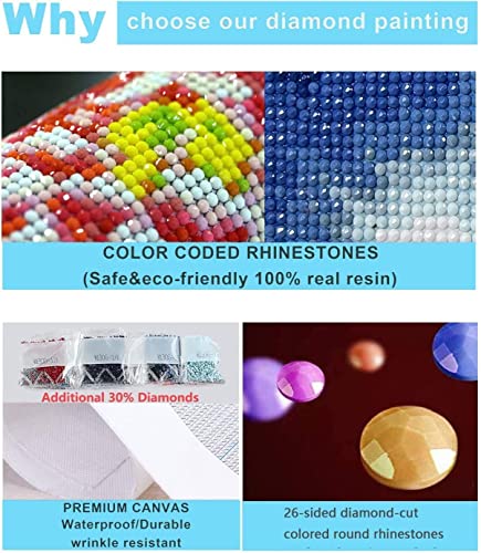 Bogviap 6 Pack Diamond Painting Tool Kits,Stitch Diamond Painting Kits For Adults & Kids,Diamond Painting Stitch Gem Art Craft Diy Home Wall Decor（12X16 Inch） #TOP6