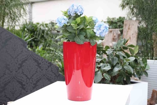 Preisvergleich Produktbild Lechuza Rondo 32 all-inkl.-Set scarlet rot