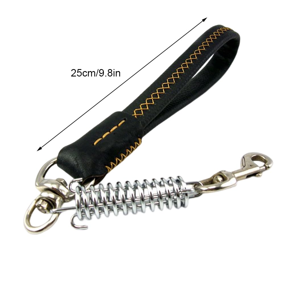 Juego de 10 correas para perro, suministros para mascotas, accesorios exquisitos para exteriores, estructura firme de alta resistencia, ajustable, gancho profesional para cinturón