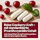 Cranberry Kapseln mit 36 mg Proanthocyanidinen – Quelle natürlicher Pflanzenstoffe – 90 Kapseln – Laborgeprüft – Hergestellt in der EU