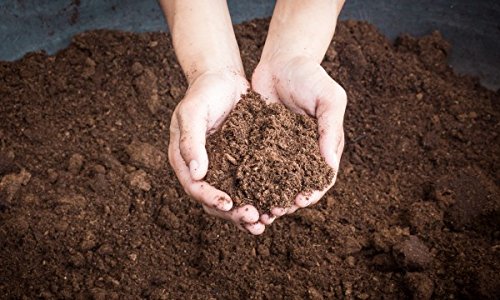 Sphagnum Peat Moss For Gardening (1 Quart) #TOP1