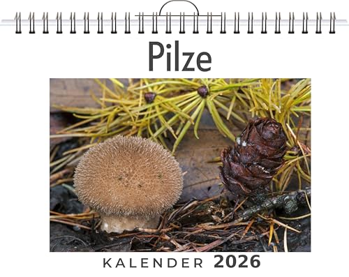 Pilze: (Wandkalender 2026, Kalender DIN A4 quer, Monatskalender im Querformat mit Kalendarium, das perfekte Geschenk)