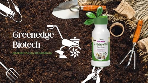 Image of Greenedge EcoChoice Liquid Seaweed Fertilizer (1 L) Concentrate for Flowering, Fruiting & Complete Soil Nourishment