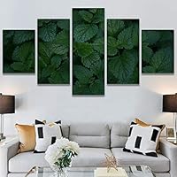 SIGNWIN 5 Panel Canvas Wall Art Modern Art Abstract Closeup Industrial Modern Art Multicolor Patterns for Home Decorations Ready to Hang - 60