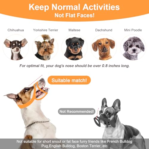 Hund Maulkorb, Soft Mesh Maulkörbe Für Hunde, Verstellbare Schlaufe, Atmungsaktiver Nylon Hundemaulkorb für Kleine, Mittlere Hunde Verhindert Das Beißen, Kauen Und Bellen (S)