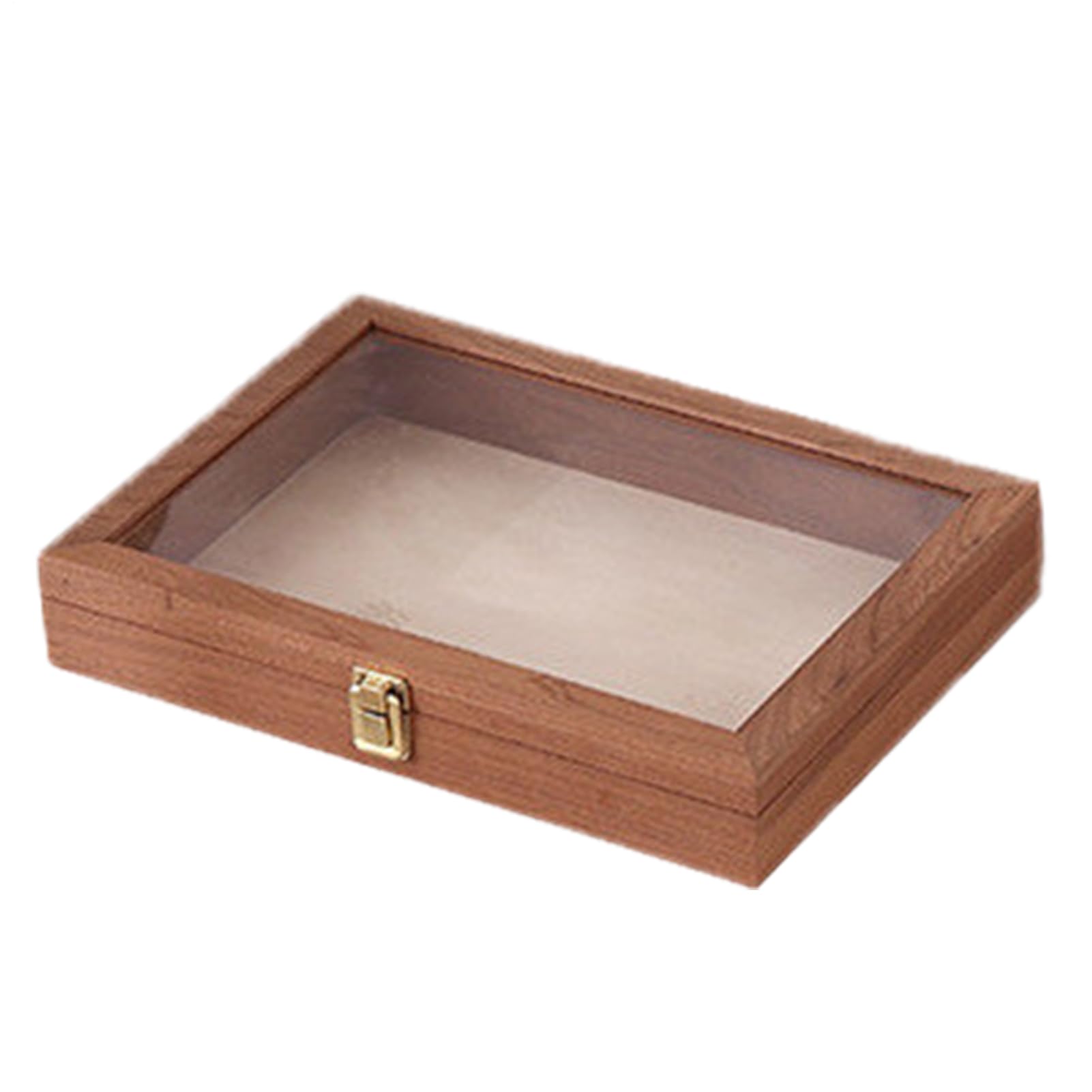 Boîte de présentation d'échantillons vintage 10 cm pour vitrine