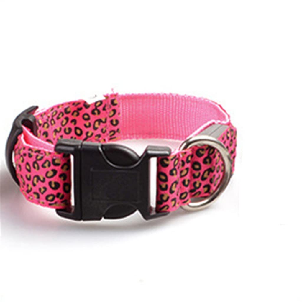 Haustierhalsband, LED, leuchtendes Halsband, Teddy, Hundehalsband, Welpen, Leopardenhalsband, Rosa (Größe M)
