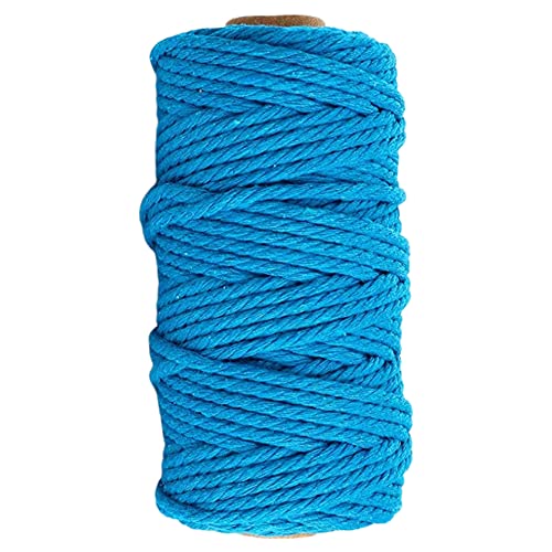 Image of ecofynd 50 Meters Aqua Blue Colour Cotton Cord, Colour Dori for Wall Hanging Plant Hanging Craft Making, Natural Thread Rope for Handmade Plant Hanger (Cord-BLU)
