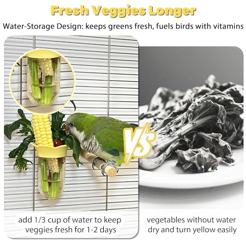 2Pcs Bird Cage Feeder for Vegetable, Parrot Veggies Holder with Water-Storage Design to Keep Greens Fresh, No Mess Hanging Millet Feeder for Parakeet, Quick Clean Clip, No Spill Feeders for Parrots - Image 2