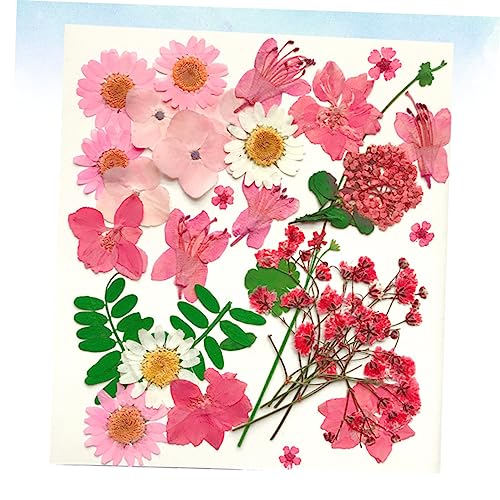 Kit artesanal 30 piezas flores secas prensadas miniatura 6