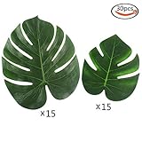 Outuxed 30PCS Tropical Leaves (14