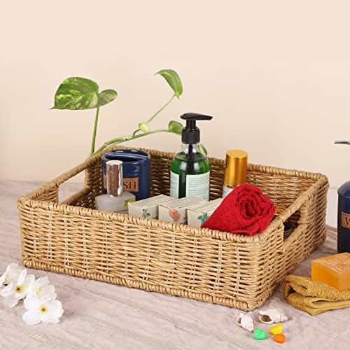 Image of DECOWAY Wicker Seagrass Kauna Grass Water Hyacinth Rattan Cane Storage Rectangular Basket - (Beige Color) (12 inchL X 8 inchW X 4 inchH)