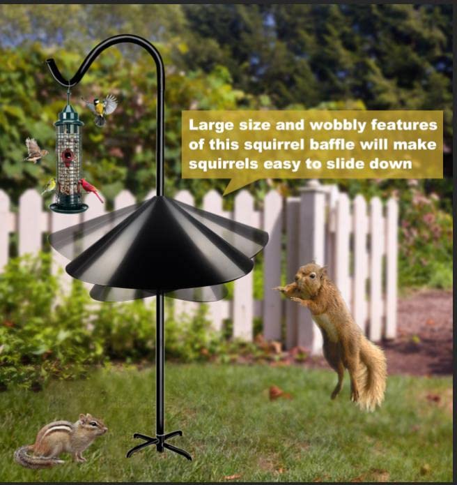 https://m.media-amazon.com/images/I/51uvXuInjiL.jpg