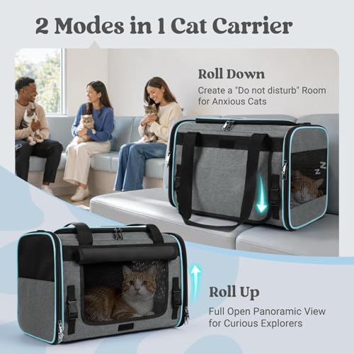 rabbitgoo Cat Carrier Soft with Rollable Flap, Travel Safe for Car Airline | Comfortable for Anxious Kittens, Collapsible Portable Carrying Bag, Small Medium Cats, Escape Proof, Grey, 17"Lx11"Wx11"H - Image 3