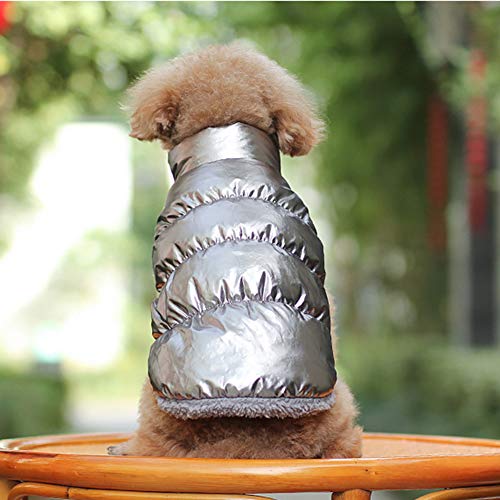 Herbst Winter Haustier Hunde Katzen Daunenjacke, Hund Mantel Verdickung, Wasserdicht Fleece gefüttert Warme Winterjacke Hunde Bekleidung für Teddy, Yorkshire Terrier, Chihuahua, Pommern Silber 3XL