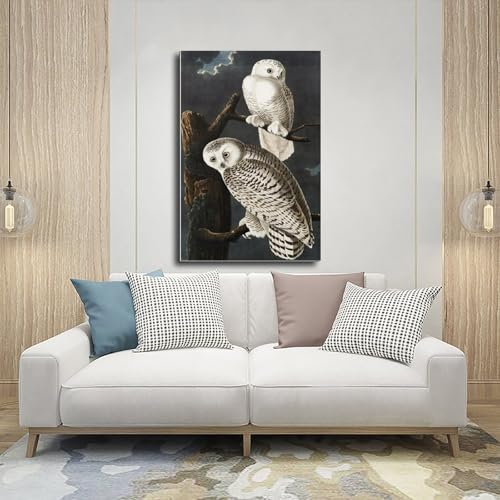 Hiboux des neiges Audubon idee cadeau originale deco chambre