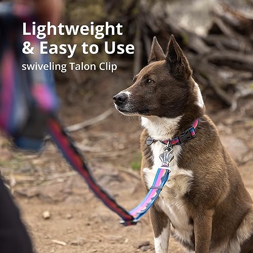 RUFFWEAR Crag EX Leash Hundeleine, Farbe:Alpine Dawn