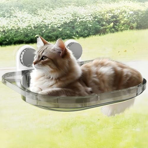  NA FD L nbN p ˂xbh ͋zՕt h~ Lg pp ω׏d20kg ybgxbh p S݌v \ O\ Lpxbh ʋC lGΉ ȃXy[X gȒP XgX  Eώ@