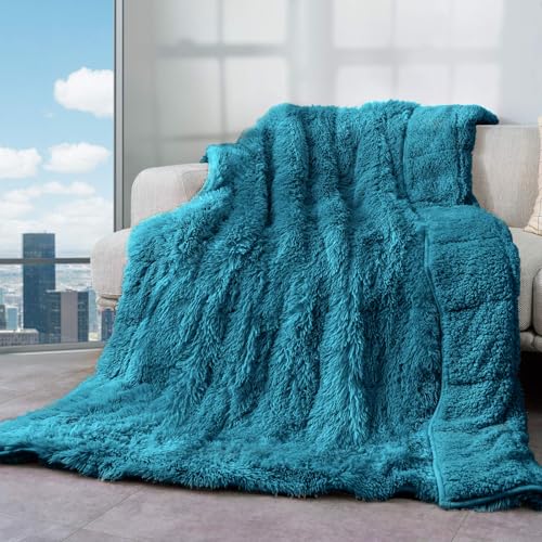 Cottonblue Weighted Blanket 15lbs, Sherpa Faux Fur Reversible Luxury Snugly Long Fur Warm Heavy...
