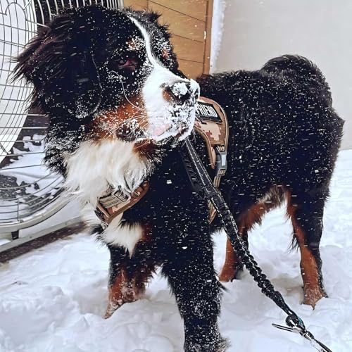 Image of AUROTH Tactical Dog Harness for Extra Large Dogs, Heavy Duty No Pull Vest