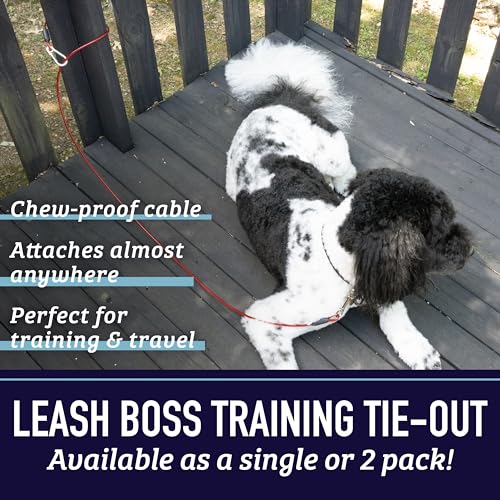 Leash Boss Heavy Duty Dog Tie Out Cable for Large Dogs - 5 Ft Chew-Proof Tether for Yard and Camping