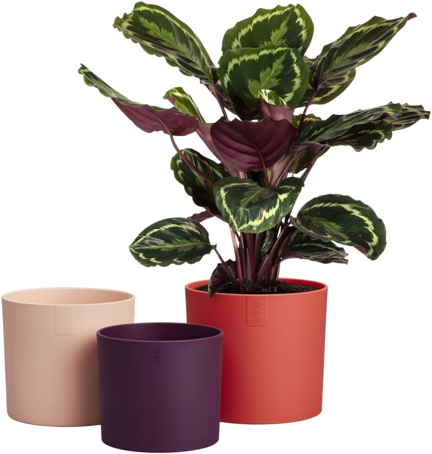 elho Lex Pott Set of 3 - Indoor Flower Pot - 100% Recycled Plastic - Diameter 11, 13 and 14 cm - Red/Coral Red