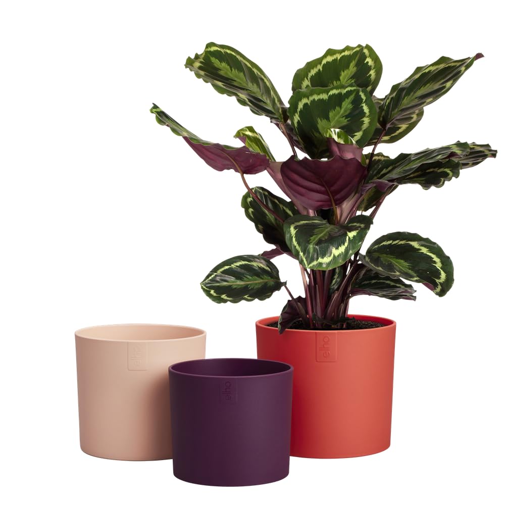 elho Lex Pott set of 3 - Plant Pots Indoor - 100% Recycled Plastic - diameter 11, 13 and 14 cm - Red/Coral Red - Image 3