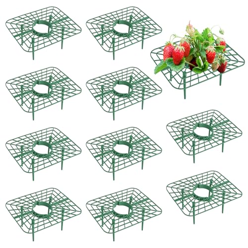 Trendecor 10 Stück Quadratisch Erdbeeren Schutz Erdbeerreifer Schneckenschutz Erdbeergitter Gartenzubehör vor Fäulnis Schimmel für Treibhaus Erdbeer Topfpflanzen