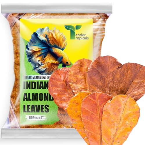 Tender Tropicals 80 Pcs Dried Catappa Indian Almond Ketapang Leaves, Betta Fin Rot Treatment...